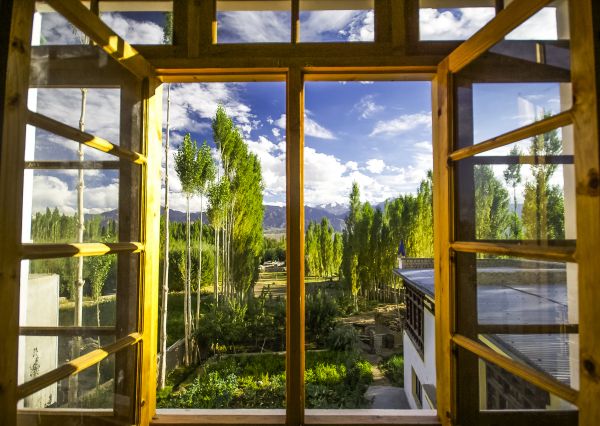 Cost of Wood Window Replacement in Issaquah