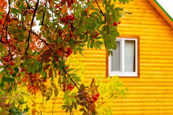 Cost of Garden Window Replacement in Issaquah